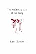 The Multiple States of the Being (Rene Guenon Works)