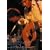 �T�X�P�S�͂��E�H~2005���쉹~ [DVD]