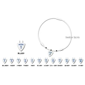 �yPRO���f���z�R�����g�b�e ���b�N���l�b�N Ge+ �������C�I���Y���f���@LG