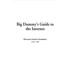 Big Dummy's Guide to the Internet