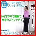 �Ԃ炳���肭��@FA890