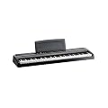 KORG �R���O �X�^�C���b�V�� �d�q�s�A�m SP-170S