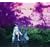 Core(���S��������)(DVD�t)