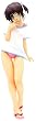 �閾���O���ڗ��F�� �������� (1/7�X�P�[��PVC�h���ς݊����i)
