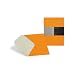 Moleskine Folio Professional Folder Orange A4 Envelope (Moleskine Legendary Notebooks)