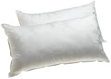 Dream Supreme Plus 100% Gel Filled King Pillows, Set of 2