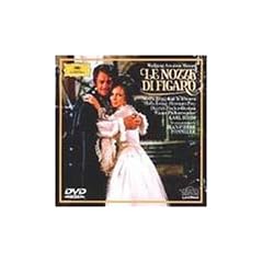 �̌��u�t�B�K���̌����v�S�� [DVD]