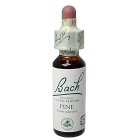 �o�b�`�t�����[�����f�B �p�C��(PINE)