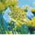 �N�I��