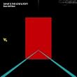 (WHAT IS THE)LOVE&POP?