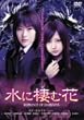 ���ɐ��މ� ~ROMANCE OF DARKNESS~ [DVD]