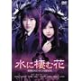 ���ɐ��މ� ~ROMANCE OF DARKNESS~ [DVD]