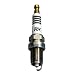 ���{���ꓩ��(NGK) �v���~�A��RX�v���O BKR6ERX-11P