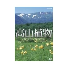 ���R�A��~�ԁX���炭�A���R�����~ [DVD]