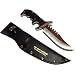 TMC �E�I�[���A1 AP-21