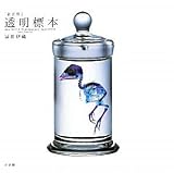 [�V���E]�����W�{~New World Transparent Specimen~
