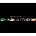 THIS IS INSTRUMENTAL(���񐶎Y�����)(DVD�t)