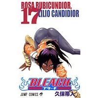 BLEACH (17) (�W�����v�E�R�~�b�N�X)