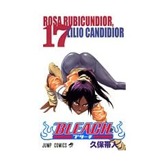 BLEACH�\�u���[�`�\ 17 (�W�����v�E�R�~�b�N�X)