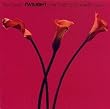 TWILIGHT~the�gLIVE�hbest of Akiko Yano~