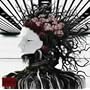 DISTRESS AND COMA-Optical Impression-(����)(DVD�t)