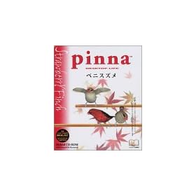 Pinna �x�j�X�Y��