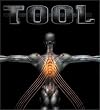 Tool: Salival (Box) (CD & DVD)