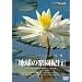 �n���̊y���I�s �o�� [DVD]