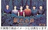 [DVD]中山美穂 眠れる森 DVD-BOX
