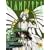 CLAMP�m�L�Z�L ��2�� (OFFICIAL FILE MAGAZINE(�I�t�B�V�����t�@�C�� �}�K�W��))