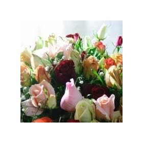�΂�̎��n�Ձ@�p�X�e���ȉԑ��@M�T�C�Y �y���ԁz�y���j���z�L�O���z�y�a�����z�y�t�����[�M�t�g�z�y�o���z