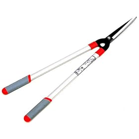 �S�[���f���X�^�[ �� �V�^�A���~�� ������ (��) 2038