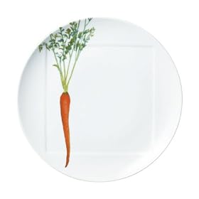 Noritake �t�@�C���|�[�Z���� �����{�� 27cm�v���[�g �����l�Q T9930A/1620-3