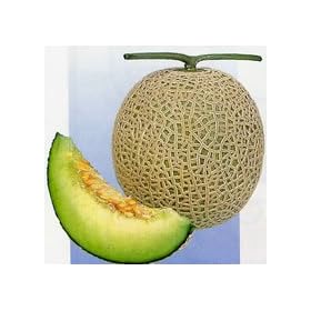 �A���f���Z��[������]�y�^�l�z����