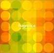 fragrance