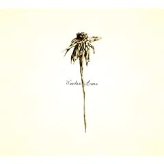 Patrick Watson『WOODEN ARMS』
