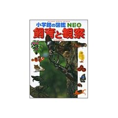 ����Ɗώ@ (���w�ق̐}��NEO)