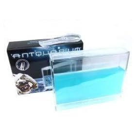 �A���g�N�A���E��ANTQUARIUM �@���C�h