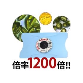 �y5��31���܂� �� ���[���֑������� ������s�z ���^�J�[�h������ 1200�{ ���q�⌌�t ������ ���[���֔z��