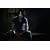 HERE COMES NAMELESS SUNRISE(��������)(DVD�t)