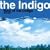 Best of the Indigo 2000-2006