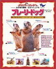 [Book] プレーリードッグ―プレーリードッグの飼育・医学・生態・歴史…すべてがわかる (スタジオ・ムック―アニファブックス-わが家の動物・完全マニュアル-)