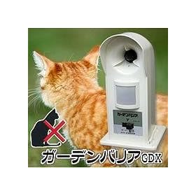 �K�[�f���o���AGDX