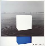 [CD]GRAPEVINE イデアの水槽