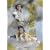�Θ��]�� ���S��2 [DVD]
