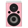 FOSTEX �A�N�e�B�u�X�s�[�J�[ PA-2(PK)