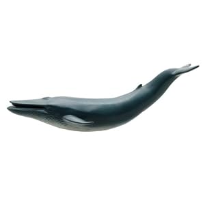 【クリックで詳細表示】シロナガスクジラ ソフトモデル