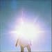 Vision Creation Newsun