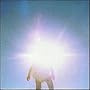 Vision Creation Newsun