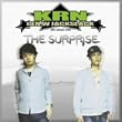 THE SURPRISE